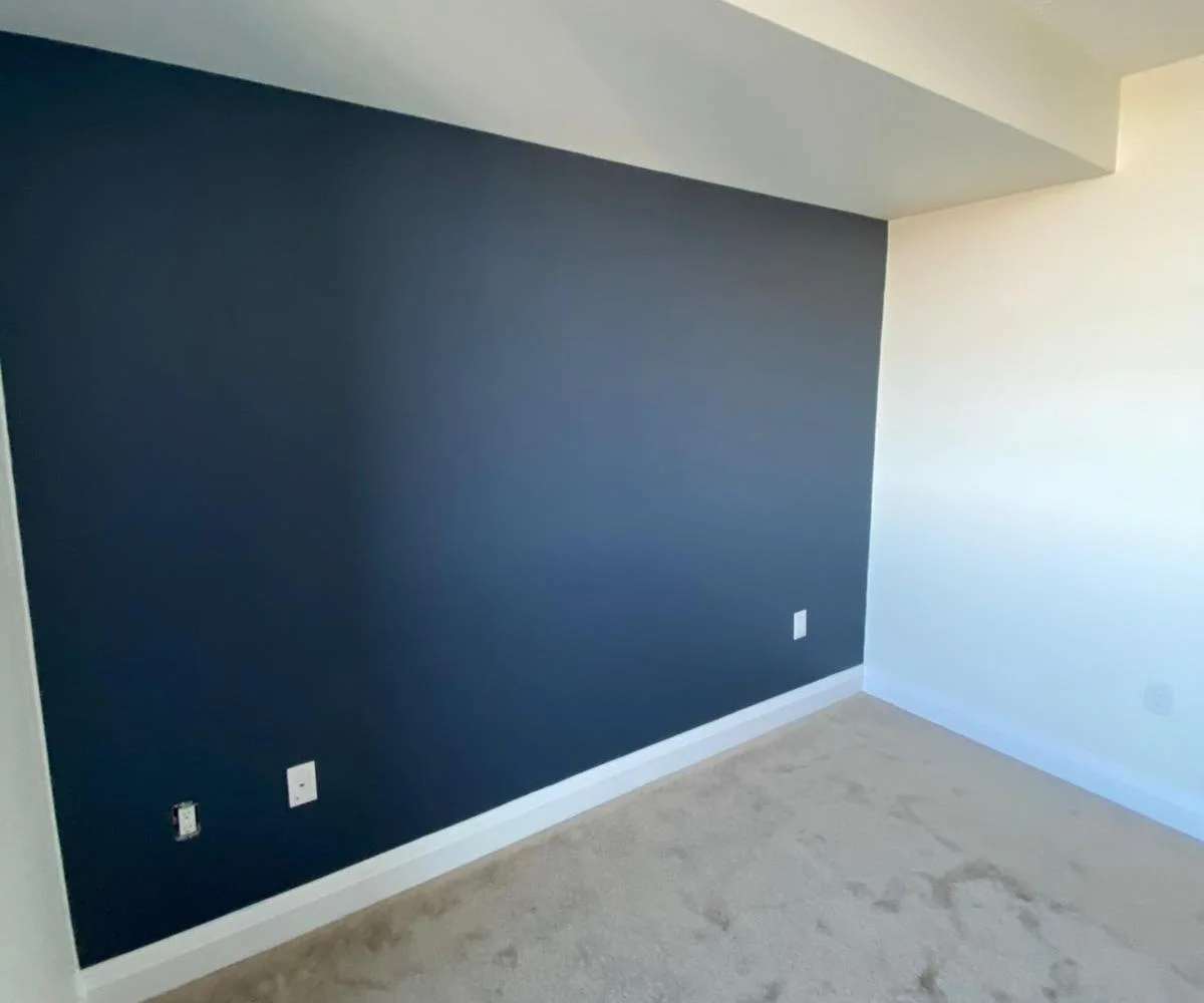 Condo Painters Pro service, Professional Handyman Services for Toronto Homes and Condos
