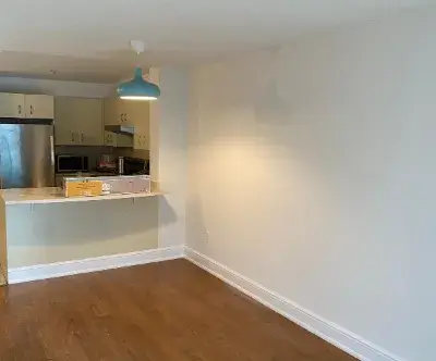 Toronto Accent Wall Painting